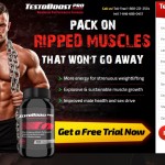 TestoBoost Pro – Destroys Fatigue and Laziness Read Must.